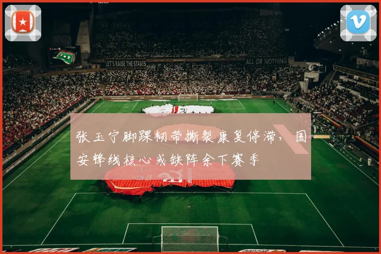 张玉宁脚踝韧带撕裂康复停滞,国安锋线核心或缺阵余下赛季